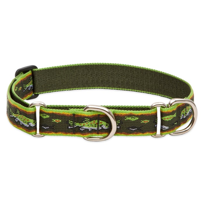 Lupine Pet Dog 1 In Wide 19-27 In Martingale Collar Original Designs Brook Trout