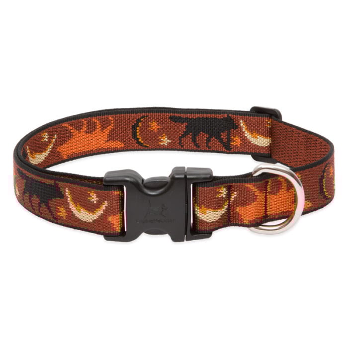 Lupine Pet Dog 1 In Wide 16-28 In Adjustable Collar Original Designs Shadow Hunter