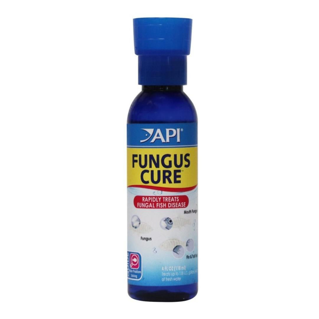Api Liquid Fungus Cure 118ml Fish Tank Aquarium Fresh Water Treatment Health