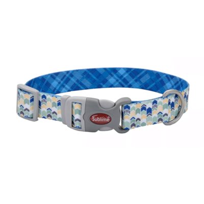 Coastal Sublime 1in Wide 12-18in Adjustable Dog Collar Blue Chevrons