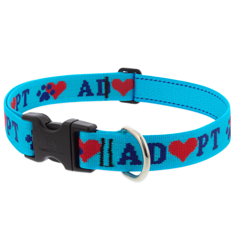 Lupine Pet Dog 1 In Wide 12-20 In Adjustable Collar Original Designs Adopt