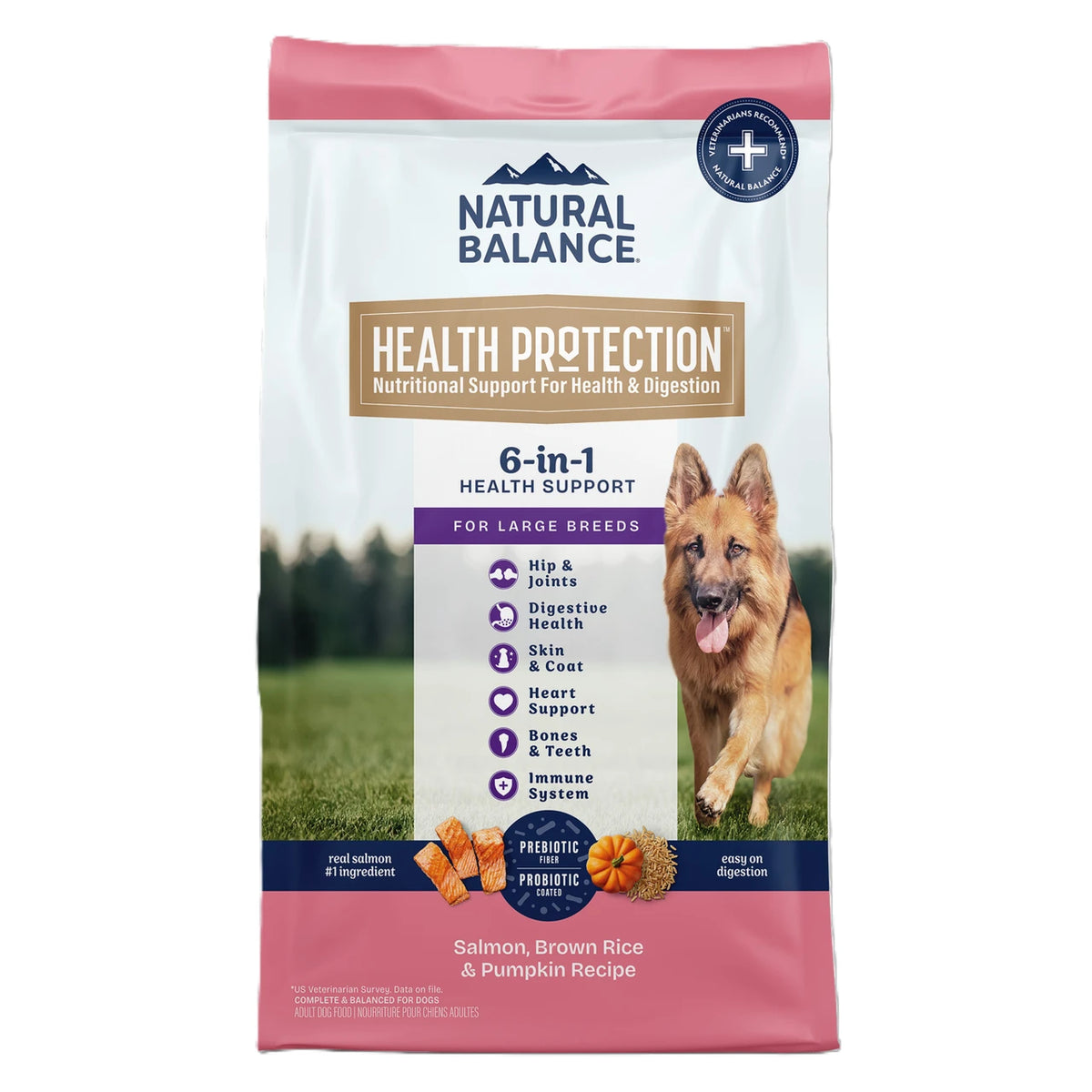 Natural Balance Health Protection Large Breed Dry Dog Food, Salmon & Rice Recipe, 26 lb