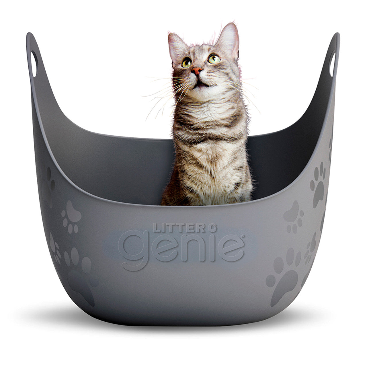 Litter Genie Litter Box