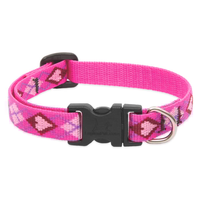 Lupine Pet Dog 3/4 In Wide 13-22 In Adjustible Collar Original Designs Puppy Love
