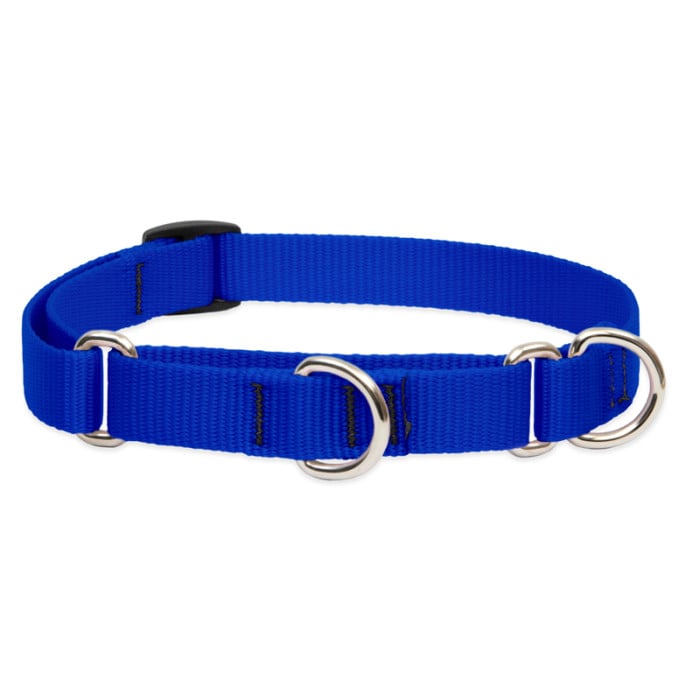 Lupine Pet Dog 3/4 In Wide 10-14 In Martingale Collar Basics Blue