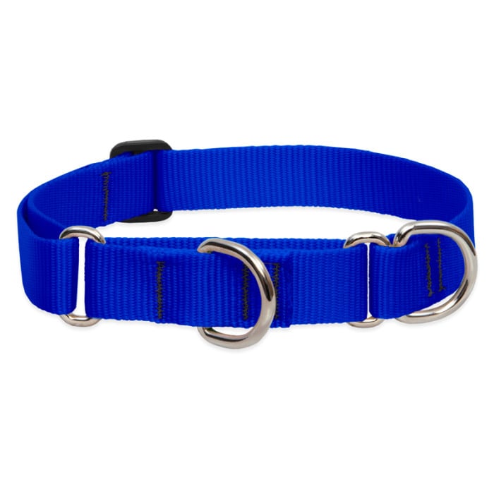 Lupine Pet Dog 1 In Wide 19-27 In Martingale Collar Basic Blue