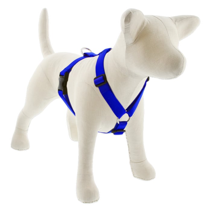 Lupine Pet Dog 1 In Wide 24-38 In Roman Harness Basics Blue