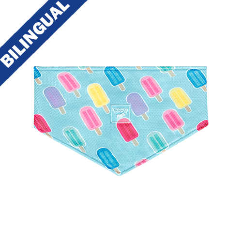 Canada Pooch Chill Seeker Cooling Bandana Popsicles Size Medium