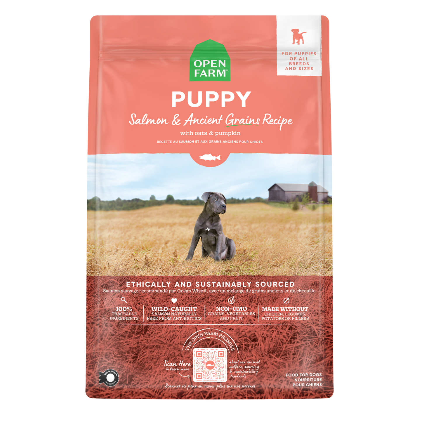 Open Farm Puppy Salmon & Ancient Grains Recipe For Dogs 22lb Bag