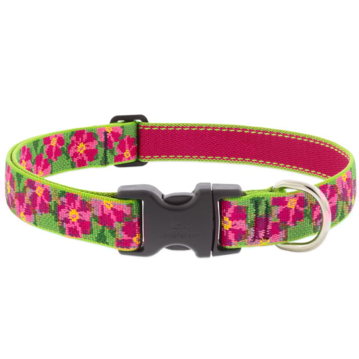 Lupine Pet Dog 1 In Wide 16-28 In Adjustable Collar Original Designs Petunias