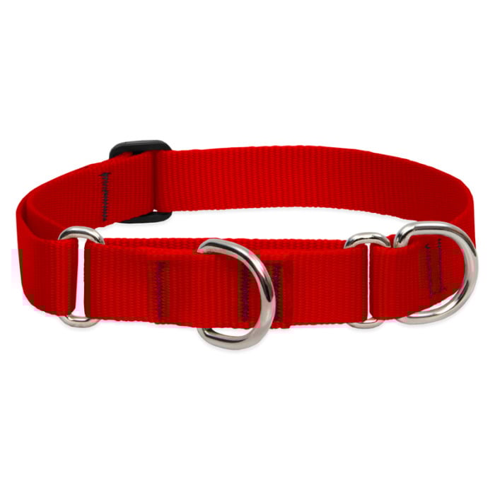 Lupine Pet Dog 1 In Wide 15-22 In Martingale Collar Basic Red