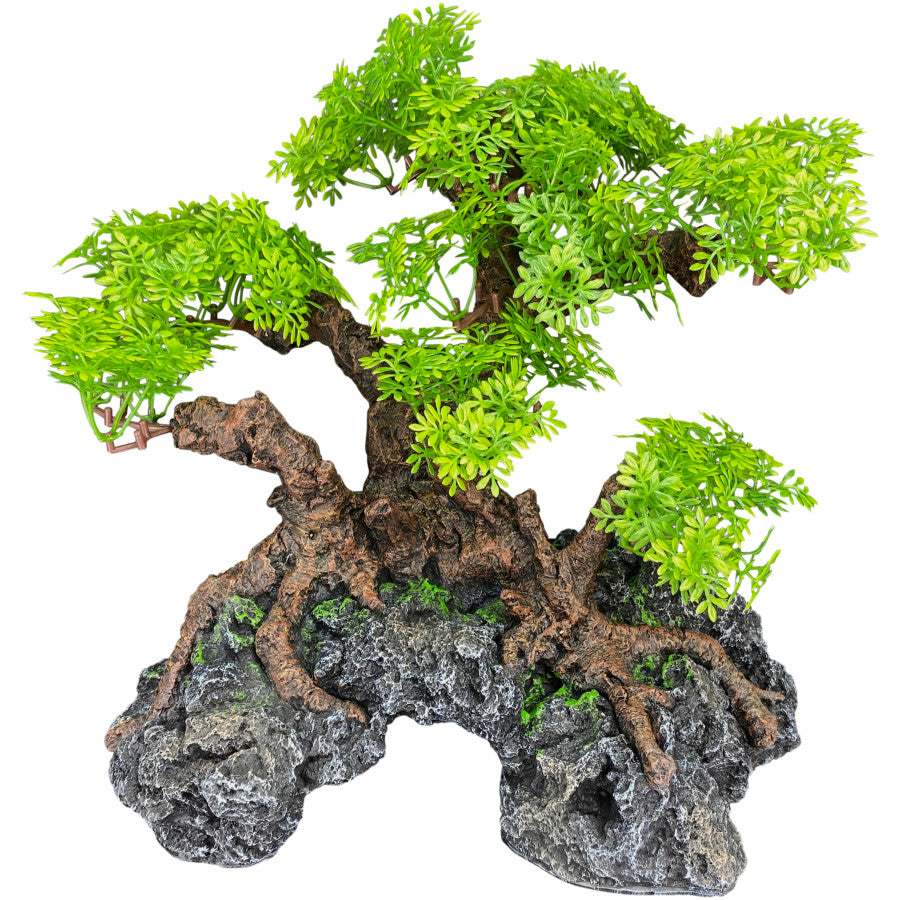 Komodo Bonsai Tree with Hide 18in – Benson's Pet Center