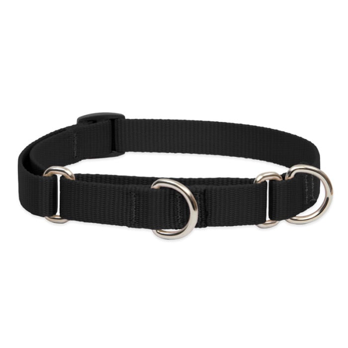 Lupine Pet Dog 3/4 In Wide 14-20 In Martingale Collar Basic Black