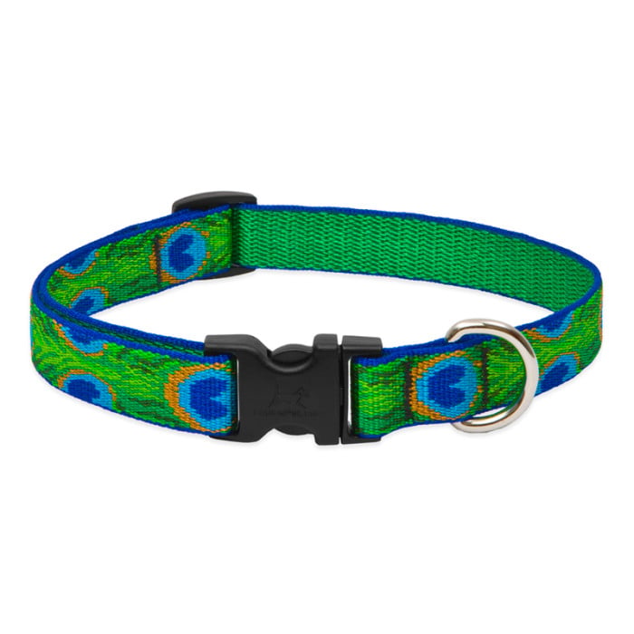 Lupine Pet Dog 3/4 In Wide 15-25 In Adjustable Collar Original Designs Tailfeathers