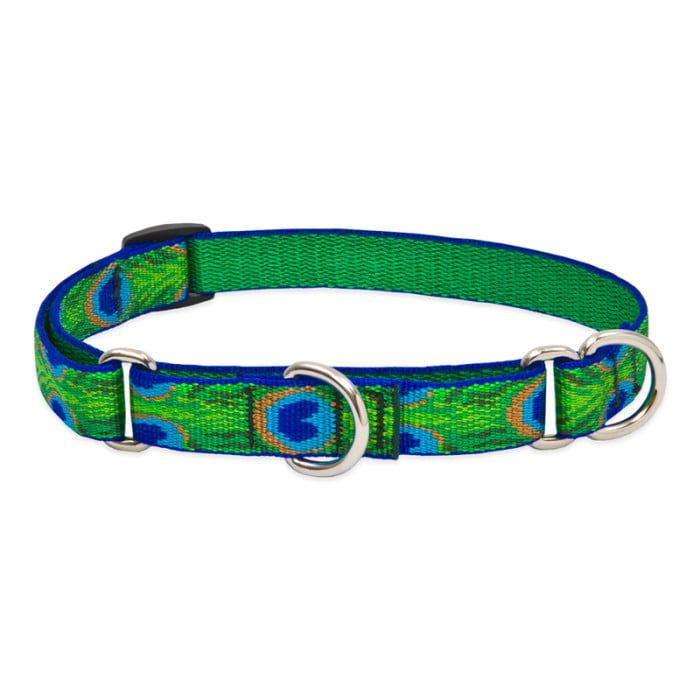 Lupine Pet Dog 3/4 In Wide 14-20 In Martingale Collar Original Designs Tail Feathers