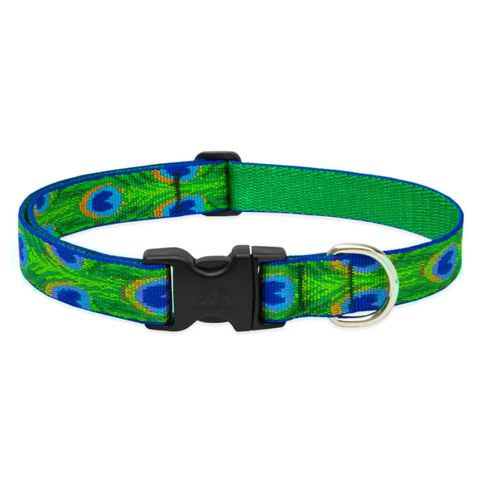 Lupine Pet Dog 1 In Wide 12-20 In Adjustable Collar Original Designs Tailfeathers