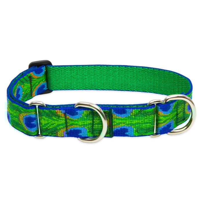 Lupine Pet Dog 1 In Wide 15-22 In Martingale Collar Original Designs Tailfeathers