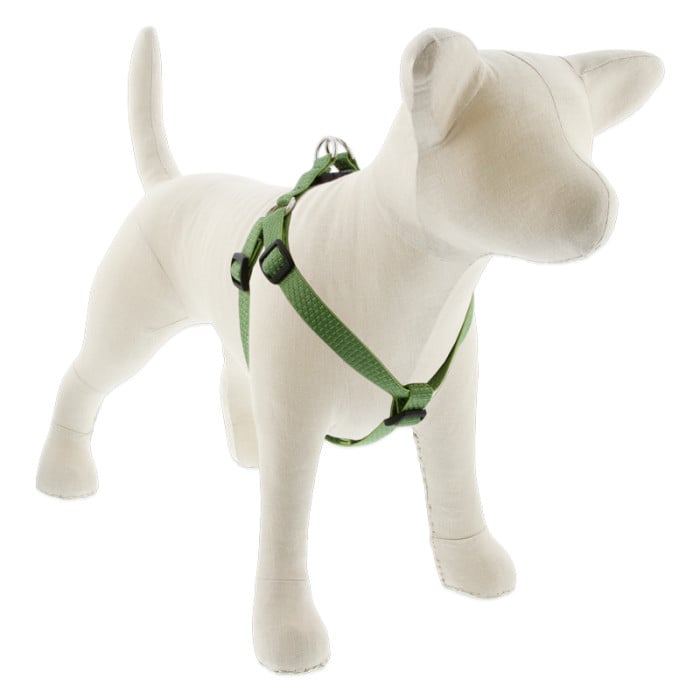 Lupine Pet Dog 3/4 In Wide 15-21 In Step In Harness Eco Moss