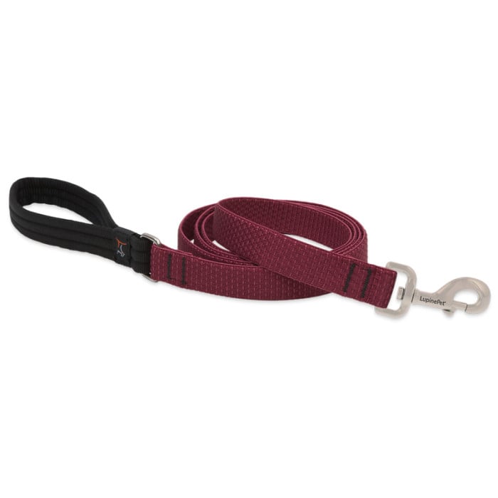 Lupine Pet Dog 6 Ft Long 1 In Leash Eco Berry