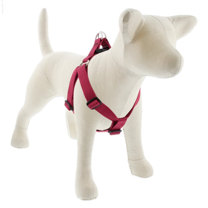 Lupine Pet Dog 1 In Wide 24-38 In Step In Harness Eco Berry