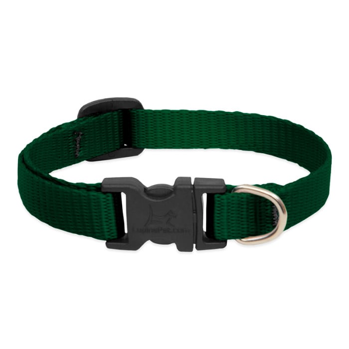 Lupine Pet Dog 1 In Wide 16-28 In Adjustable Collar Basics Green