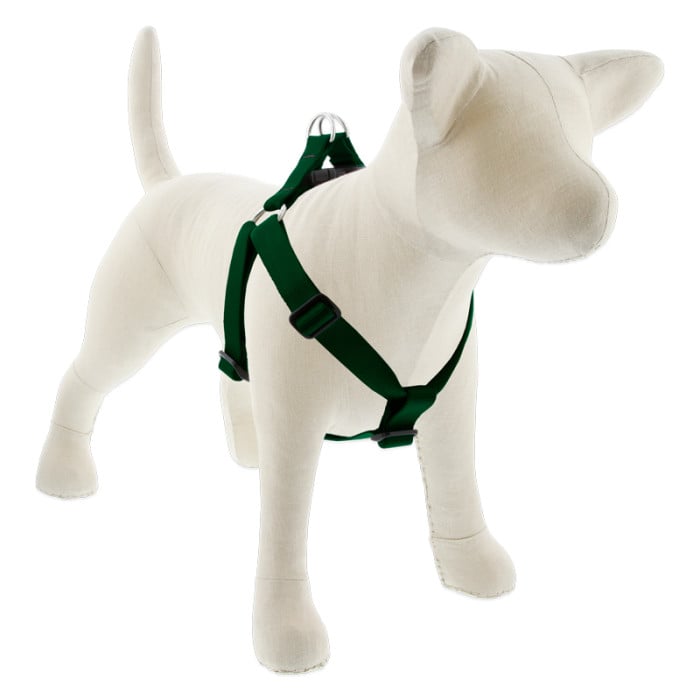 Lupine Pet Dog 1 In Wide 19-28 In Step In Harness Basics Green