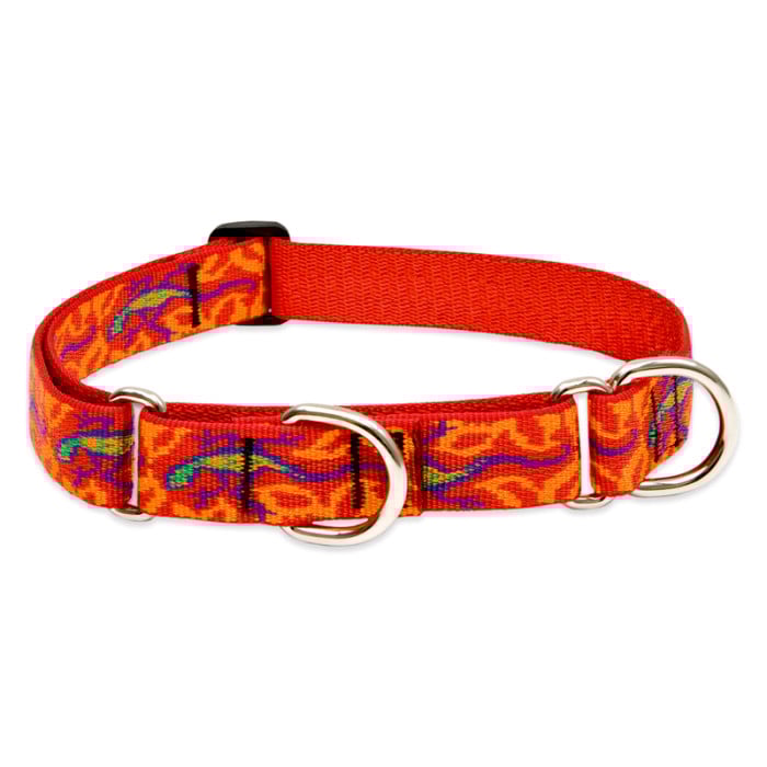 Lupine Pet Dog 1 In Wide 19-27 In Martingale Collar Original Designs Go Go Gecko