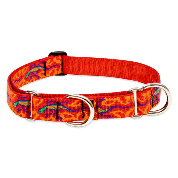 Lupine Pet Dog 1 In Wide 15-22 In Martingale Collar Original Designs Go Go Gecko