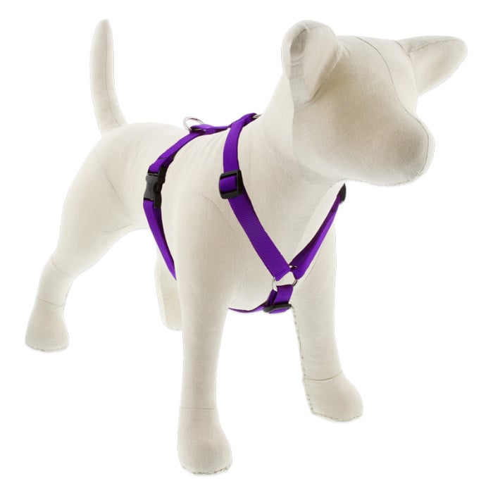 Lupine Pet Dog 3/4 In Wide 12-20 In Roman Harness Basics Purple