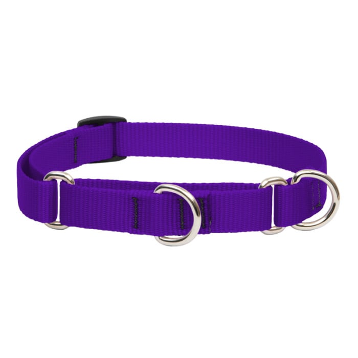 Lupine Pet Dog 3/4 In Wide 14-20 In Martingale Collar Basic Purple