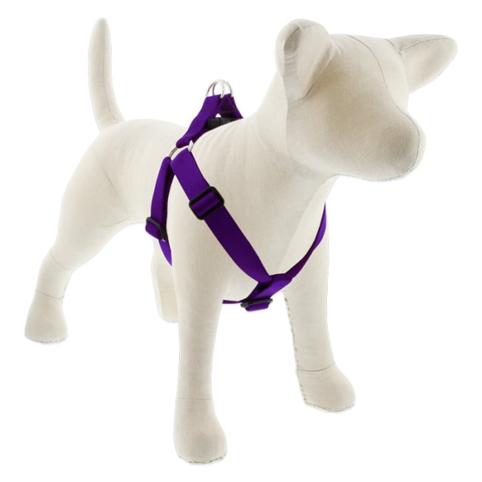 Lupine Pet Dog 1 In Wide 19-28 In Step In Harness Basics Purple