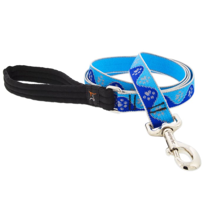 Lupine Pet Dog 6 Ft Long 1 In Leash Reflective Highlights Blue Paws