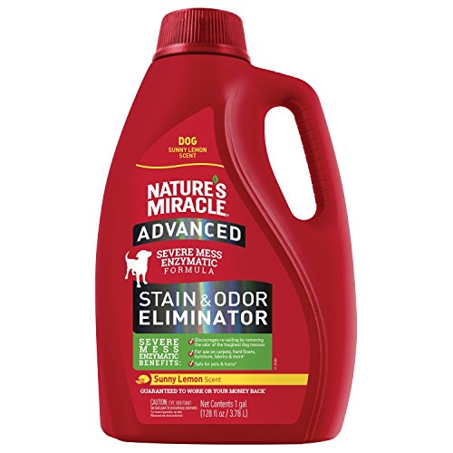 Nature's Miracle Advanced Dog Stain and Odor Remover Red 128oz