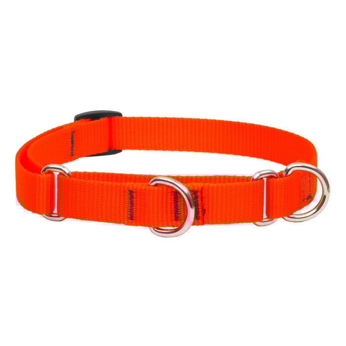 Lupine Pet Dog 3/4 In Wide 10-14 In Martingale Collar Basics Blaze Orange