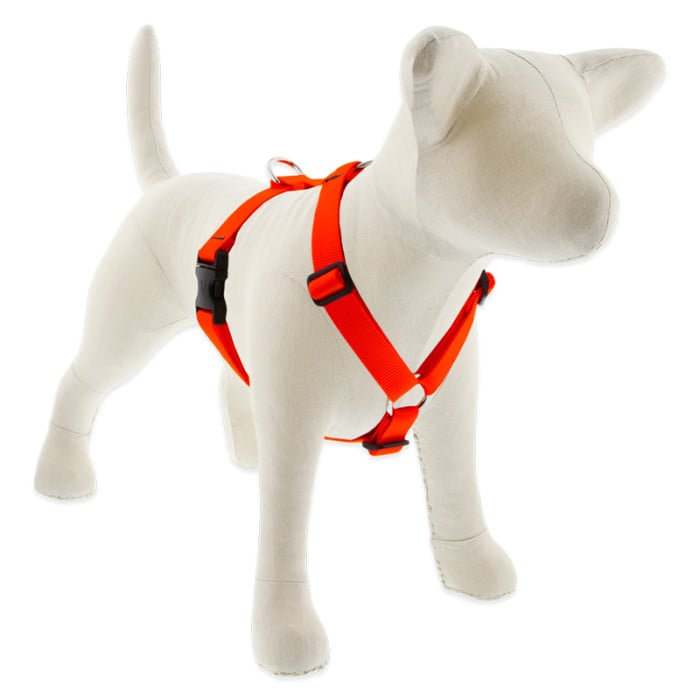 Lupine Pet Dog 1 In Wide 24-38 In Roman Harness Basics Blaze Orange