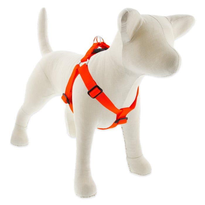 Lupine Pet Dog 1 In Wide 19-28 In Step In Harness Basics Blaze Orange