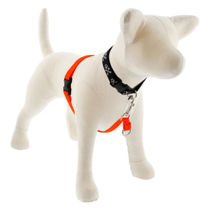 Lupine Pet Dog 1 In Wide 26-38 In No Pull Harness Basics Blaze Orange