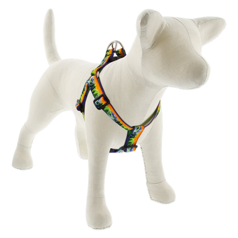 Lupine Pet Dog 1 In Wide 19-28 In Step In Harness Original Designs High Country