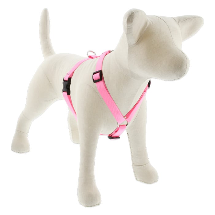 Lupine Pet Dog 3/4 In 20-32 In Roman Harness Basics Pink