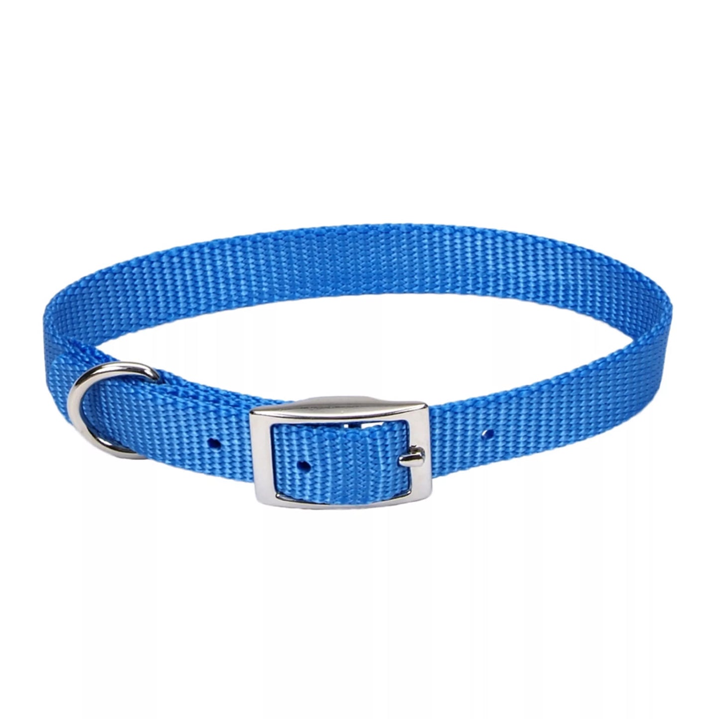 Coastal Single Ply 5/8in Wide 12in Dog Collar Blue Lagoon