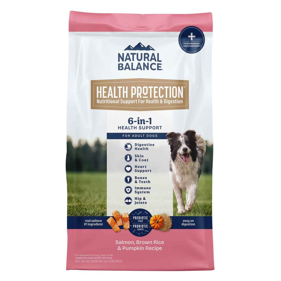 Natural Balance Health Protection Dry Dog Food, Salmon, Brown Rice & Pumpkin Recipe, 4lb