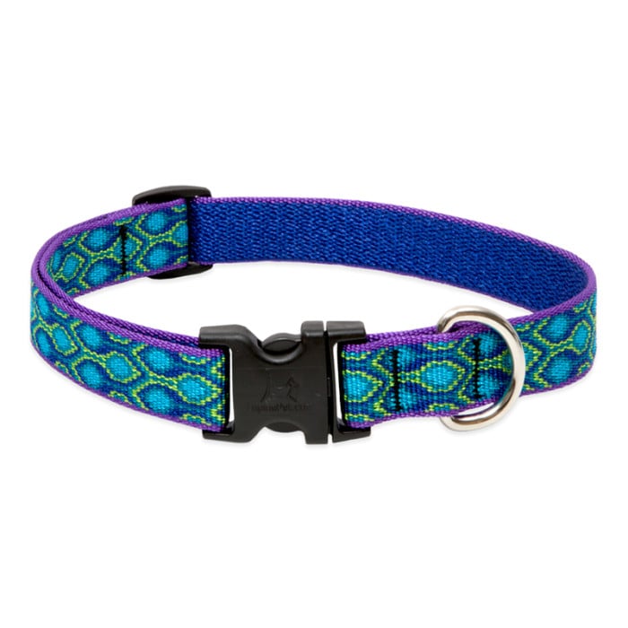 Lupine Pet Dog 2/4 In Wide 9-14 In Adjustable Collar Original Designs Ra In Song