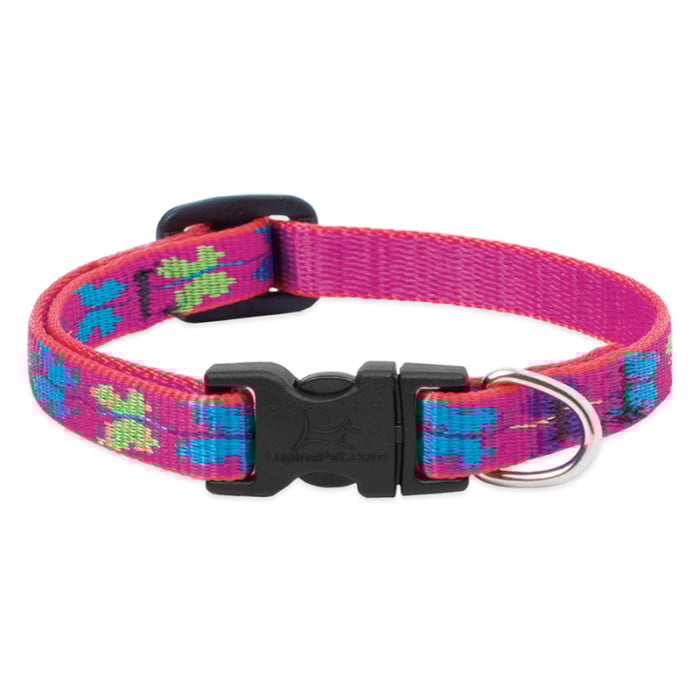 Lupine Pet Dog 1/2 In Wide 10-16 In Adjustable Collar Origianal Designs W Ing It