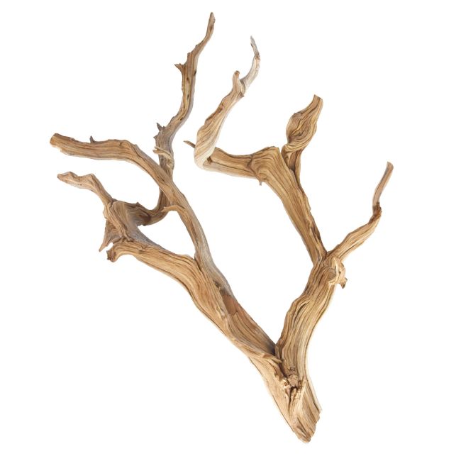 Underwater Treasures Aquarium Ornament Ghostwood Large