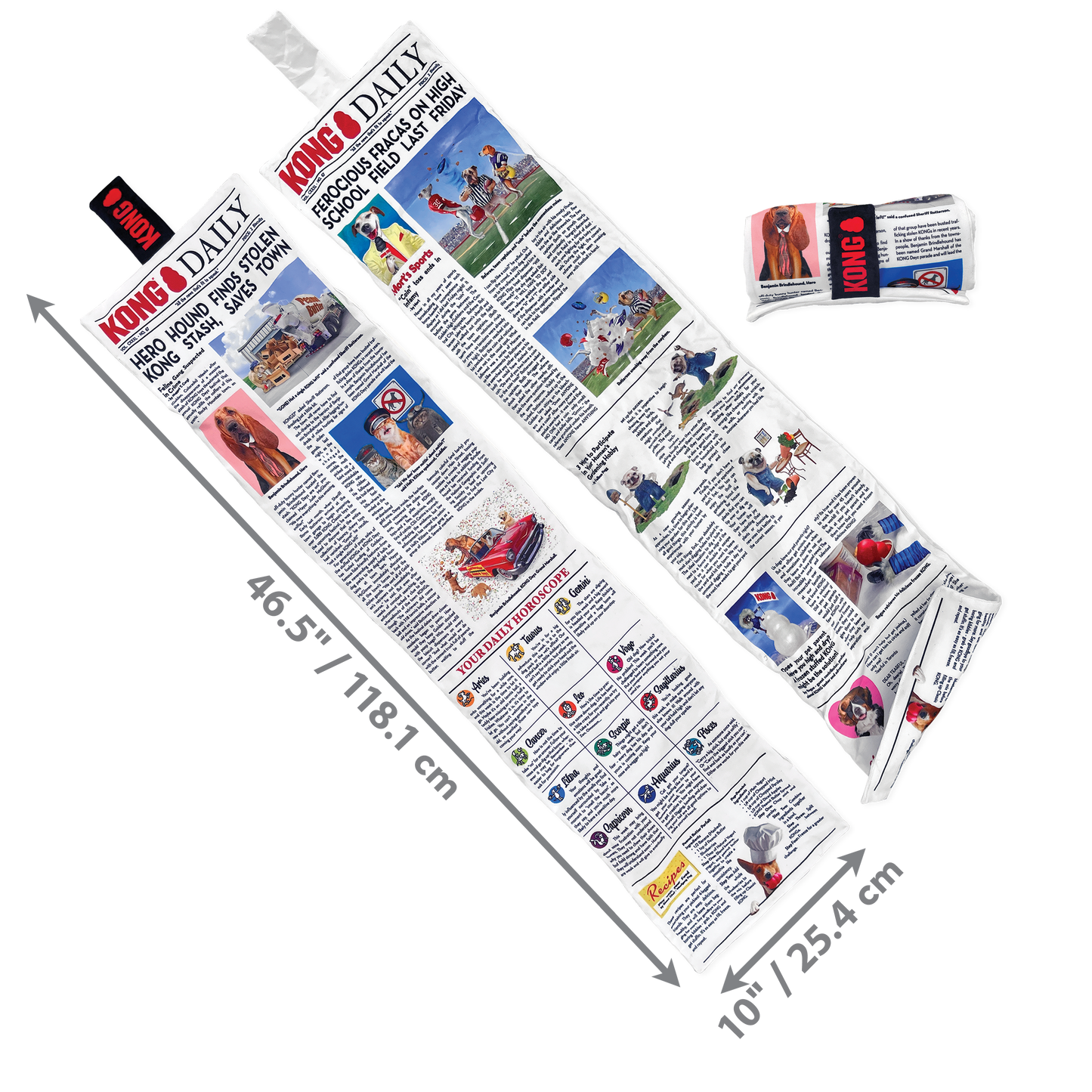 Kong Dog Toy KONG Daily