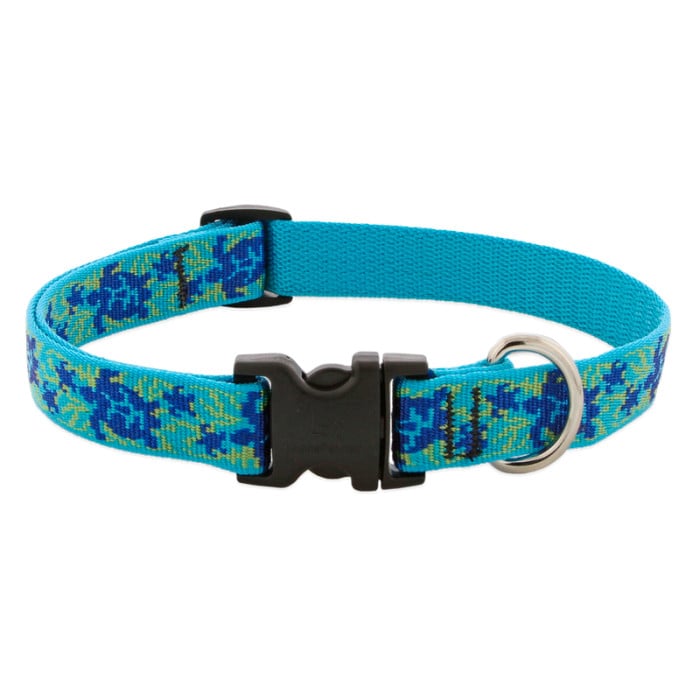 Lupine Pet Dog 3/4 In Wide 15-25 In Adjustable Collar Original Designs Turtle Reef