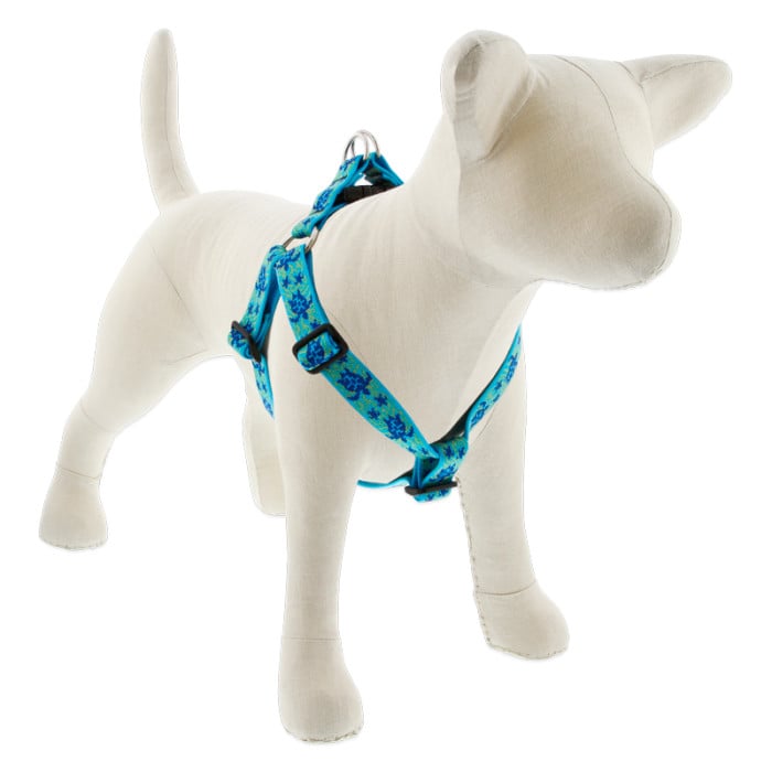 Lupine Pet Dog 1 In Wide 19-28 In Step In Harness Original Designs Turtle Reef