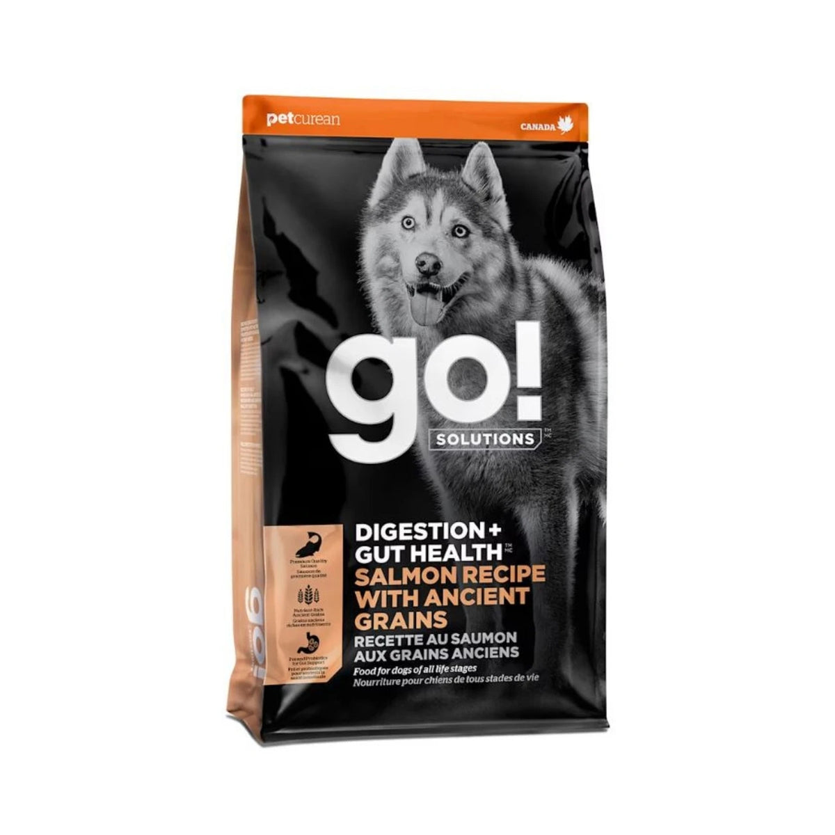 Petcurean Go! Digestion Gut Health Salmon Recipe With Ancient Grains For Dog 22 lb