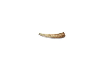 Canophera X-Small Deer Antler