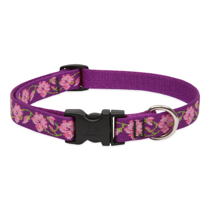 Lupine Pet Dog 3/4 In Wide 15-25 In Adjustable Collar Original Designs Rose Garden